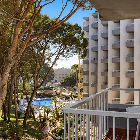 Pabisa Sofia 帕尔马海滩