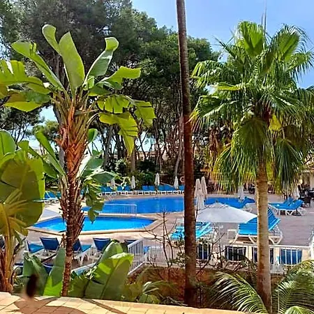 Pabisa Sofia 4* Playa de Palma (Mallorca)